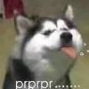 mydyx666